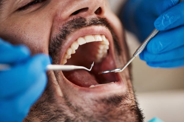 Best Emergency Dental Care for Trauma or Injury in Crosby, ND