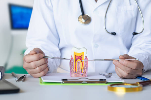 Best 24-Hour Emergency Dentist in Crosby, ND